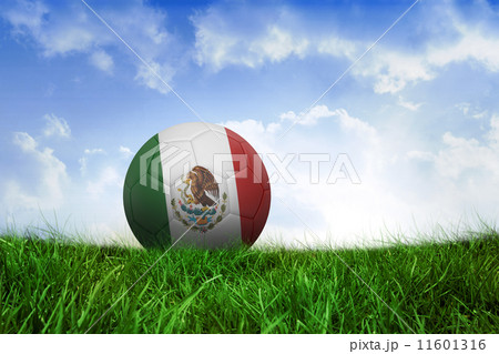 Composite image of football in mexico colours 11601316