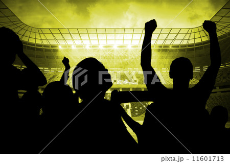 Silhouettes of football supporters 11601713