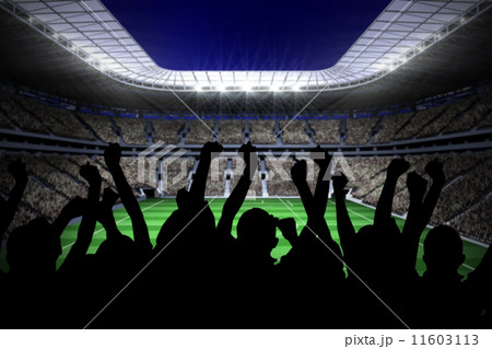 Silhouettes of football supporters Silhouettes of football supporters 11603113
