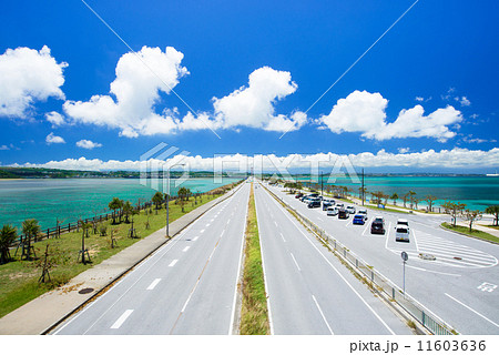 沖縄の海・海中道路 沖縄の海・海中道路 11603636