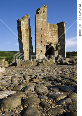 Edlingham Castle - Northumberland - England 11604238