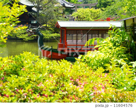 神泉苑 神泉苑 11604576