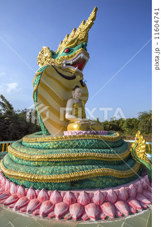 Buddha Image - Bago - Myanmar 11604741