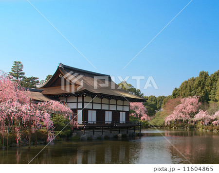 春の平安神宮 - 神苑 11604865