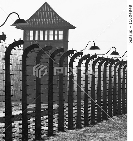Birkenau Nazi Concentration Camp - Poland 11604949