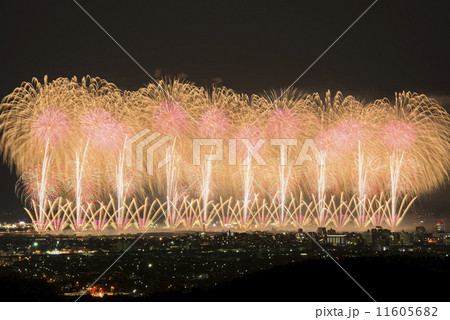 【新潟県】長岡の花火 〜フェニックス〜 11605682
