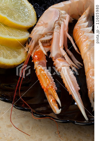 Langoustine or Norwegian Lobster 11605980