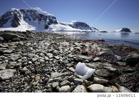 Cuverville Bay - Antarctica 11606011