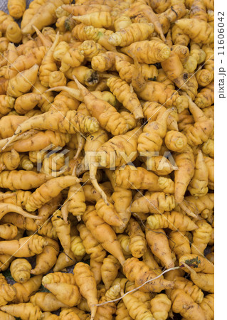 Mashua - South American vegetable 11606042