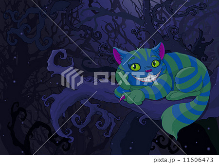 Cheshire Cat 11606473