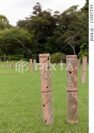 夏の後楽園 11607244