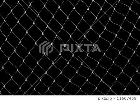 Net on black Net on black 11607459