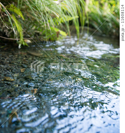 湧水 湧水 11608114