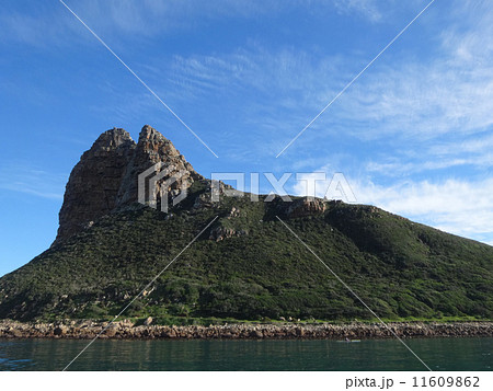 ライオンズヘッド ライオンズヘッド 11609862