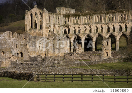 Riuns of Rievaulx Abbey - North Yorkshire - England Riuns of Rievaulx Abbey - North Yorkshire - England 11609899