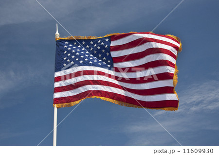 Flag of the United States of America Flag of the United States of America 11609930
