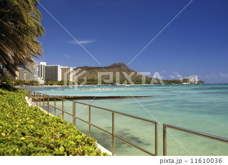 Waikiki Beach - Oahu - Hawaii 11610036