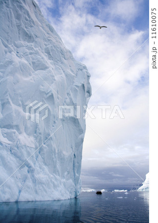 Iceberg - Northwest Fjord - Scoresbysund - Greenland 11610075