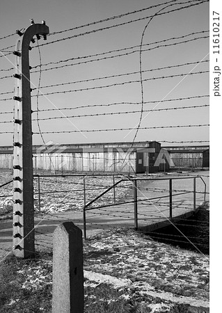 Birkenau Nazi Concentration Camp - Poland Birkenau Nazi Concentration Camp - Poland 11610217