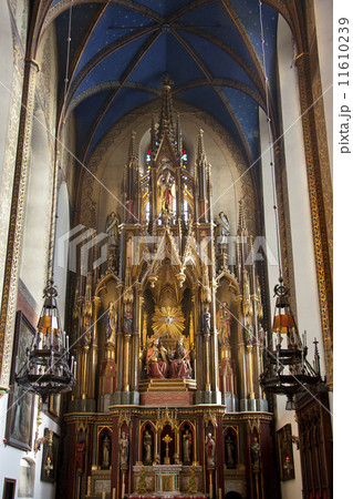 Dominican Church - Krakow - Poland 11610239