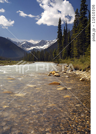 Kootenay National Park - British Columbia - Canada Kootenay National Park - British Columbia - Canada 11610306
