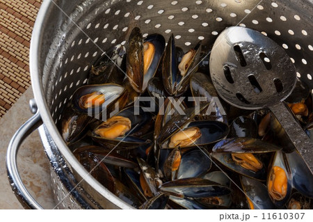 Cooking Fresh Mussels 11610307