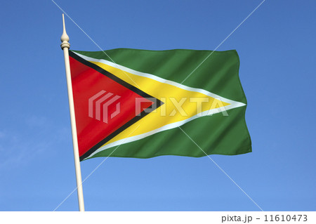 Flag of Guyana 11610473