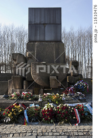 Auschwitz Concentration Camp - Poland 11610476