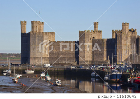 Caernarfon Castle - Wales Caernarfon Castle - Wales 11610645