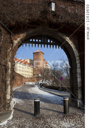 Portcullis - Wawal Castle - Krakow - Poland 11610650
