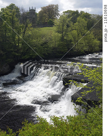 Aysgarth Falls - Wensleydale - Yorkshire Dales 11610698