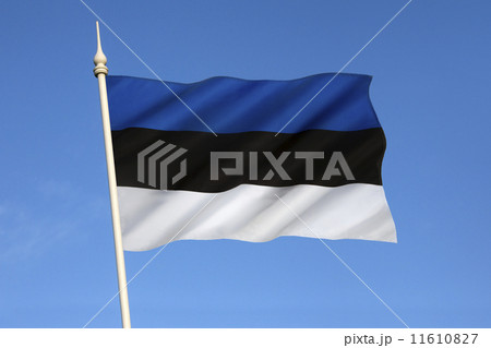 Flag of Estonia 11610827