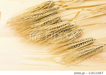 木の板の上のオオムギの穂 木の板の上のオオムギの穂 11611067
