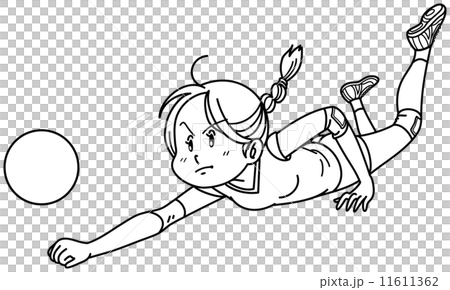 volleyball volleyball 11611362