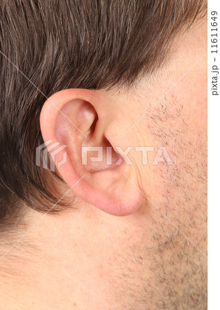 Close up of man with bristle. 11611649