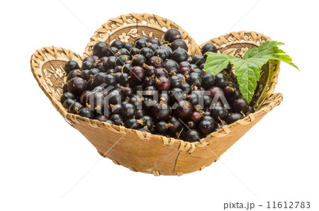 Black currant Black currant 11612783