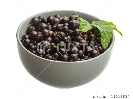 Black currant Black currant 11612854