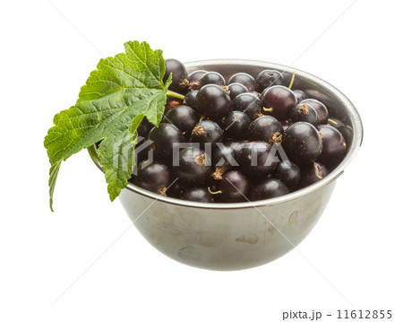 Black currant Black currant 11612855