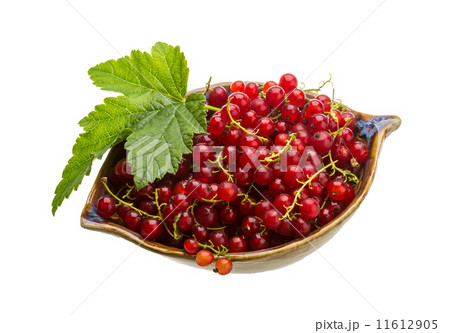 Red currant Red currant 11612905