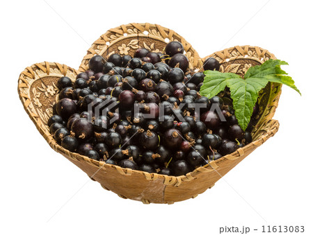 Black currant Black currant 11613083