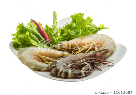 King and waterleg shrimps King and waterleg shrimps 11613084