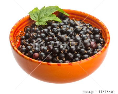 Black currant Black currant 11613401