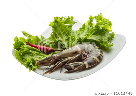 Tiger prawn 11613449