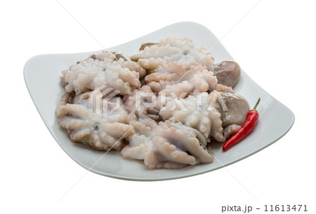 Raw octopus 11613471