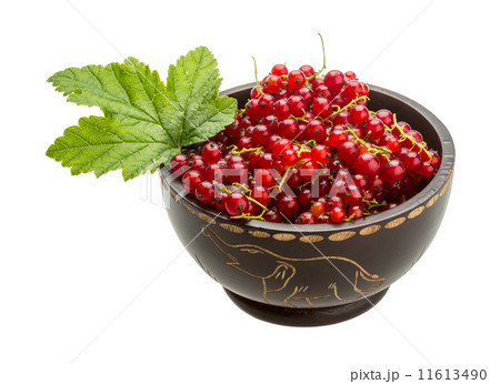 Red currant 11613490