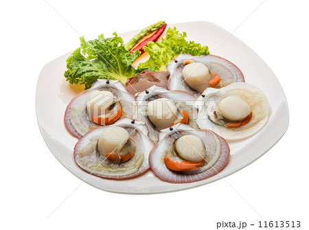 Raw fresh scallop Raw fresh scallop 11613513