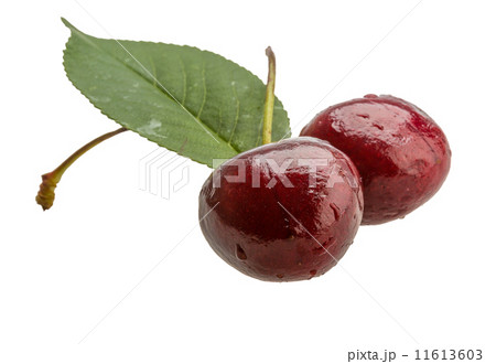 Gean - cherry Gean - cherry 11613603