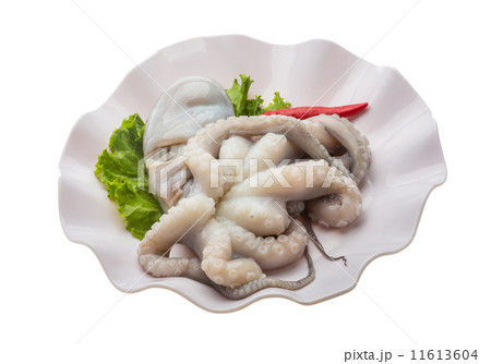 Raw octopus Raw octopus 11613604