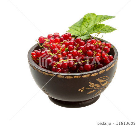 Red currant 11613605