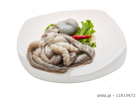 Raw octopus 11613672
